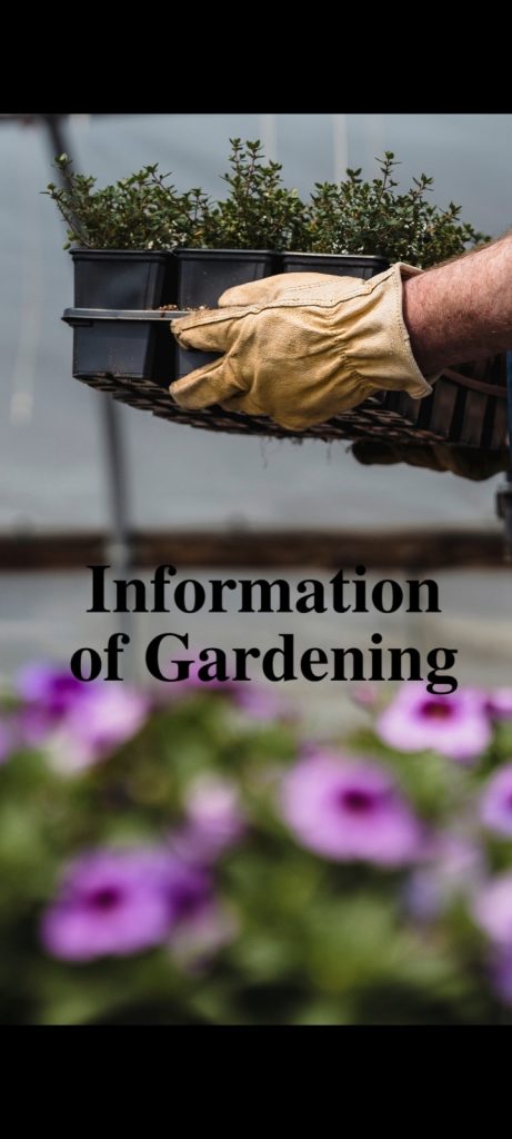 Information Of Gardening